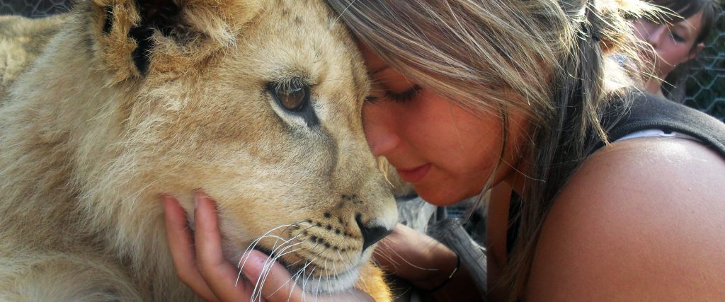 Wildlife & Conservation