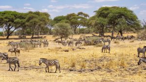 Eastern Africa
