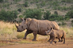 Southern Africa